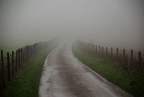 A Foggy day near Winterbourne Abbas by Phillip Capper